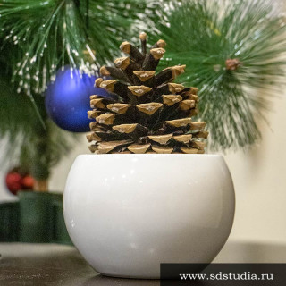 Ёлочка из сосновой шишки