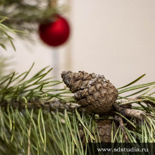 Настольная композиция с сосновыми шишками