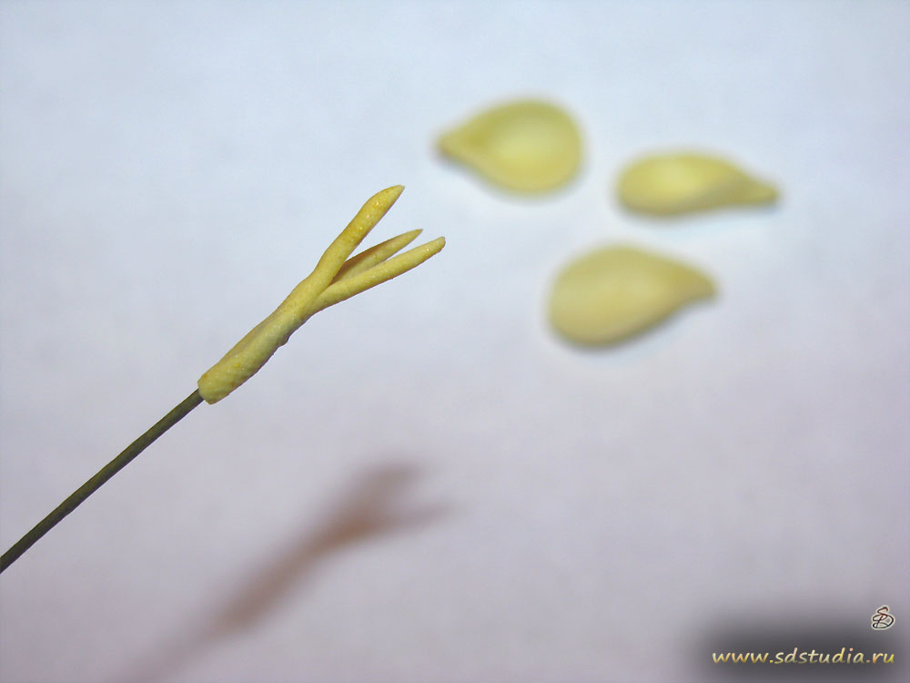 Лепка цветка фрезии из самоотвердевающего пластика Modena вирмы Padico